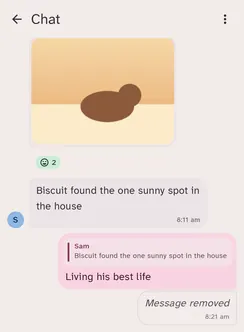A private chat between housemates
