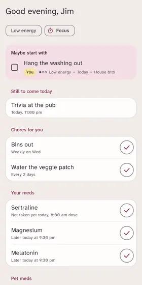 The Today screen: a gentle suggestion to hang the washing out, what is still to come today, chores and meds